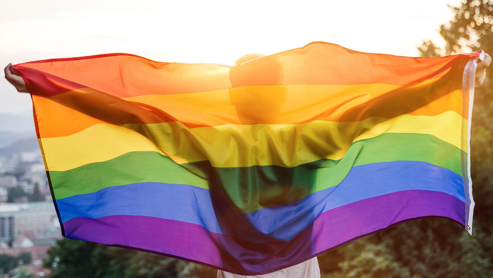 PRIDE Flags