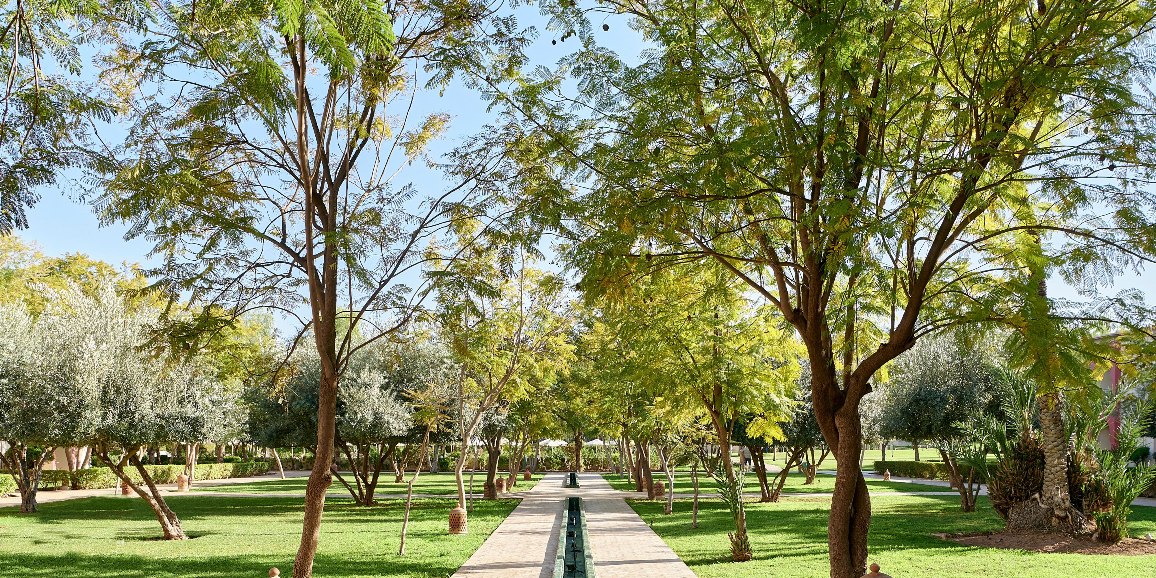 Marrakech Palm Grove