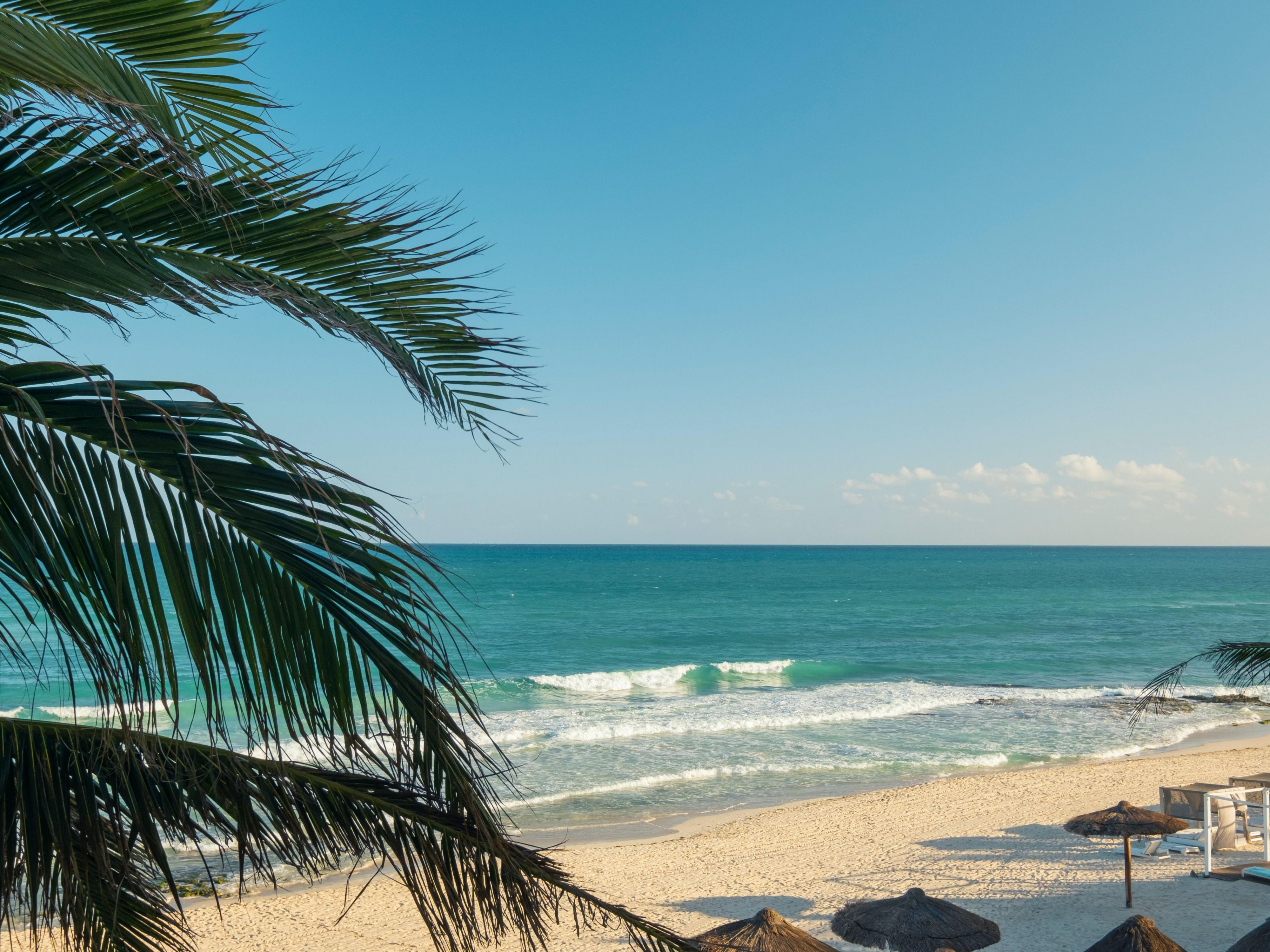 Panoramic ocean front butler suite