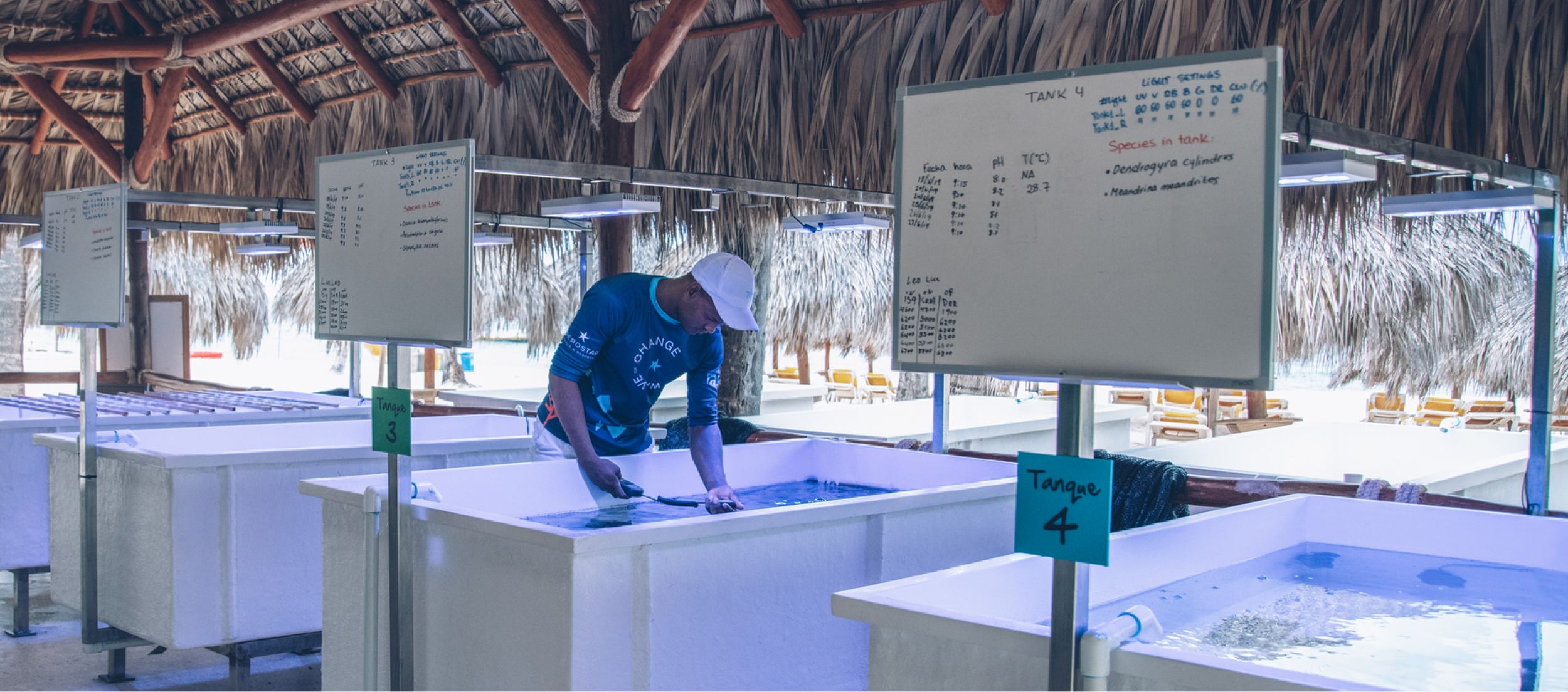 Certificación de pesca sostenible
