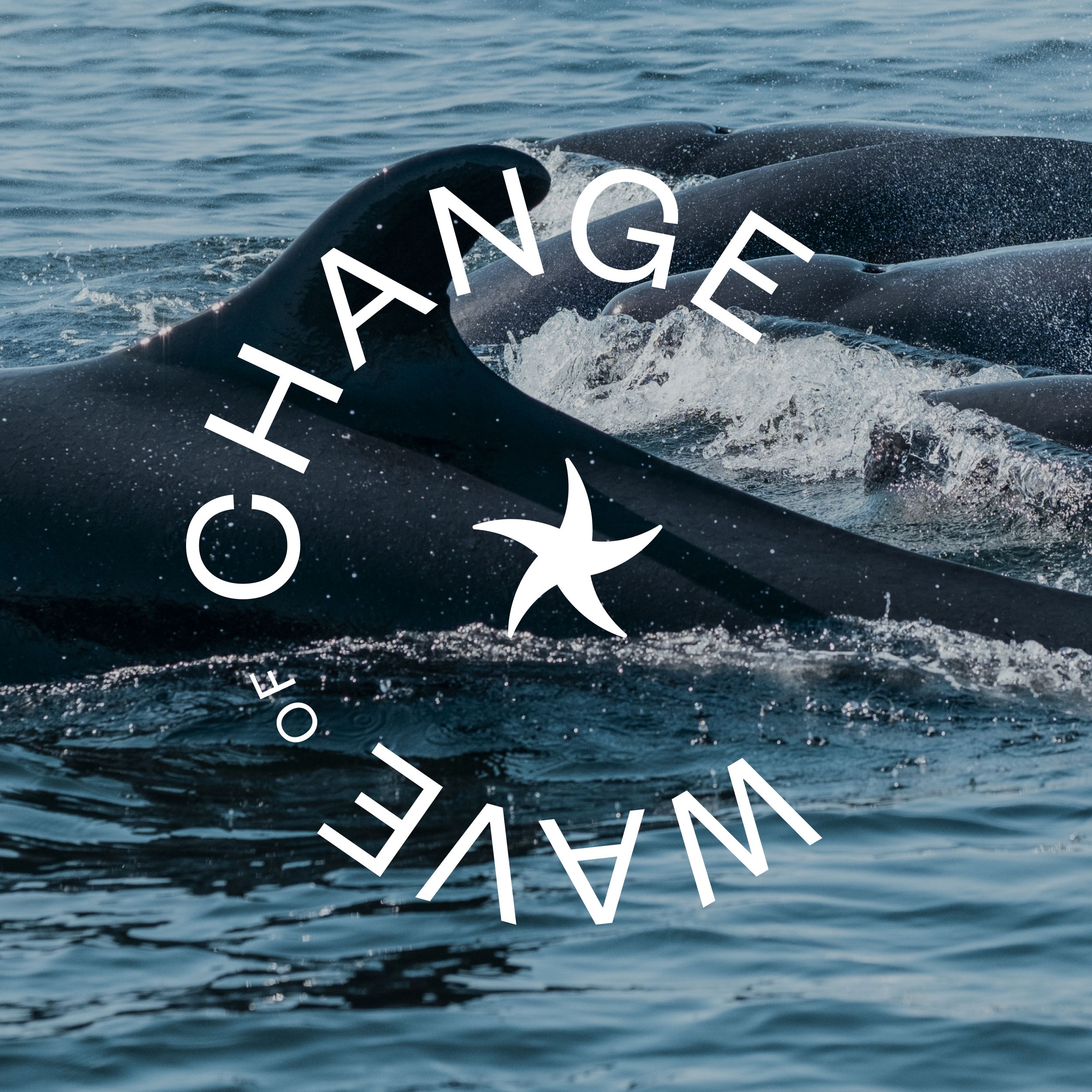 Wave of Change