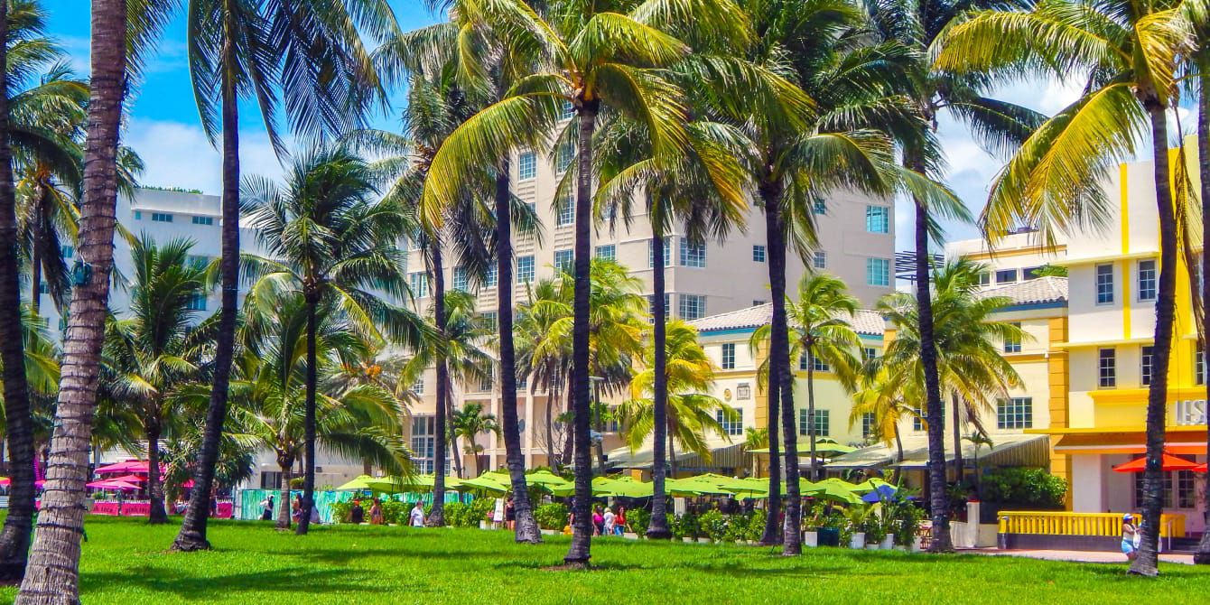 View of South Beach Miami with it's pristine palm trees and unique architecture