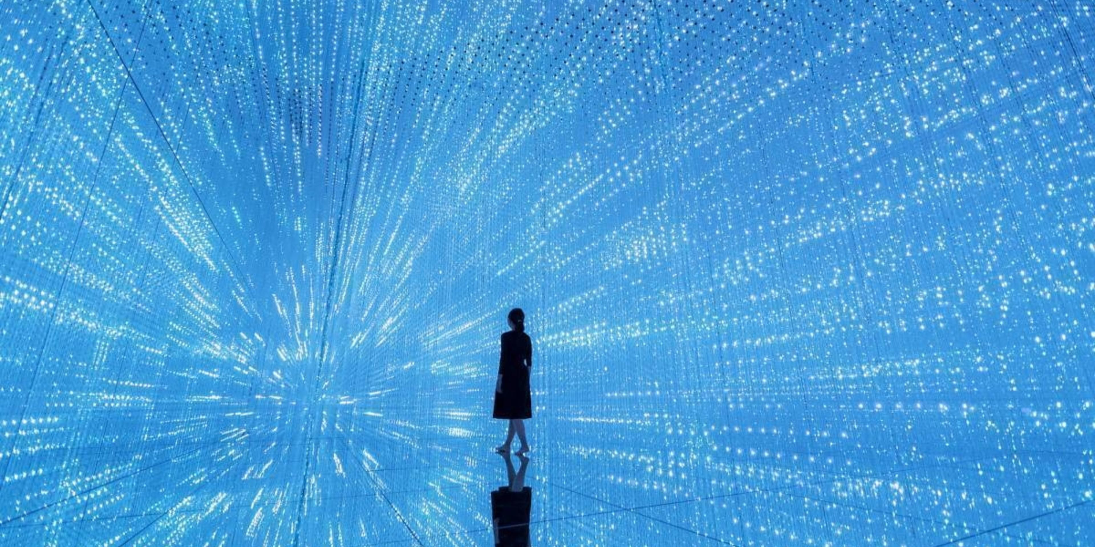 teamLab SuperNature is an extremely complex, three-dimensional interactive space with varying elevations that spans 5,000 square meters and is comprised of enormous 8-meter-tall works by art collective teamLab