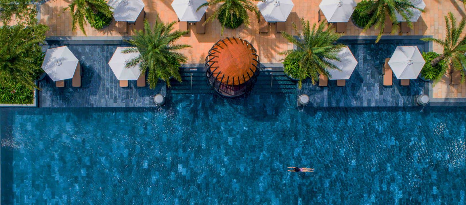 Renew your Ambassador membership