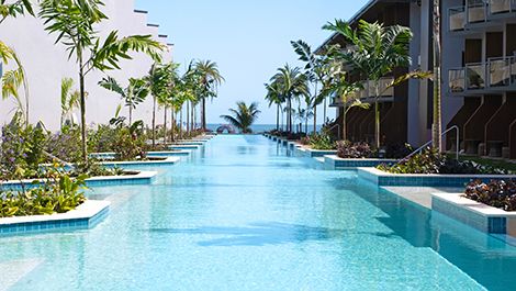 Infinity pool framed by palm trees and tropical resort buildings