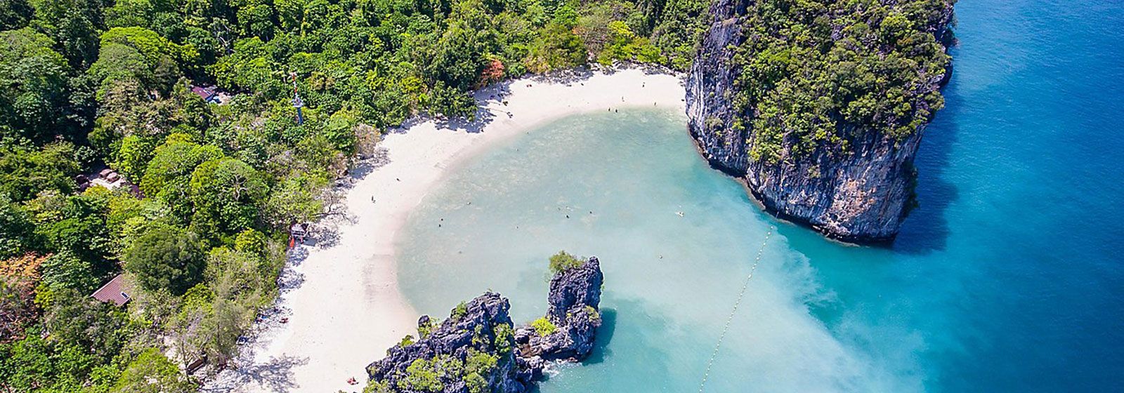 clear blue water and whits sandy beach up against luscious green foliage