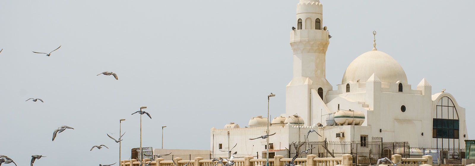 view of traditional architecture in Saudi Arabia with birds flying by