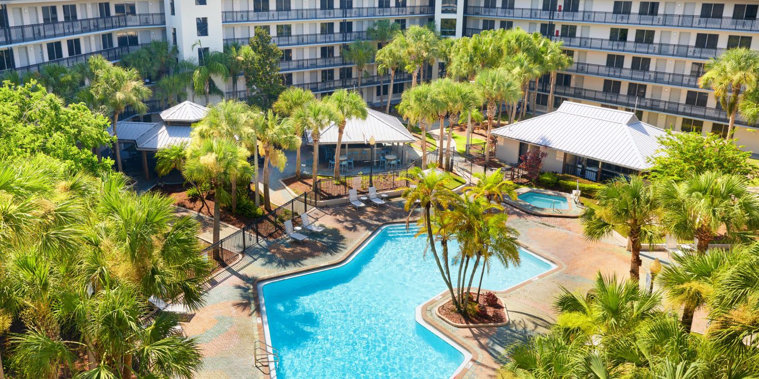 Palm trees, swimming pools and sunny spring days in Florida.