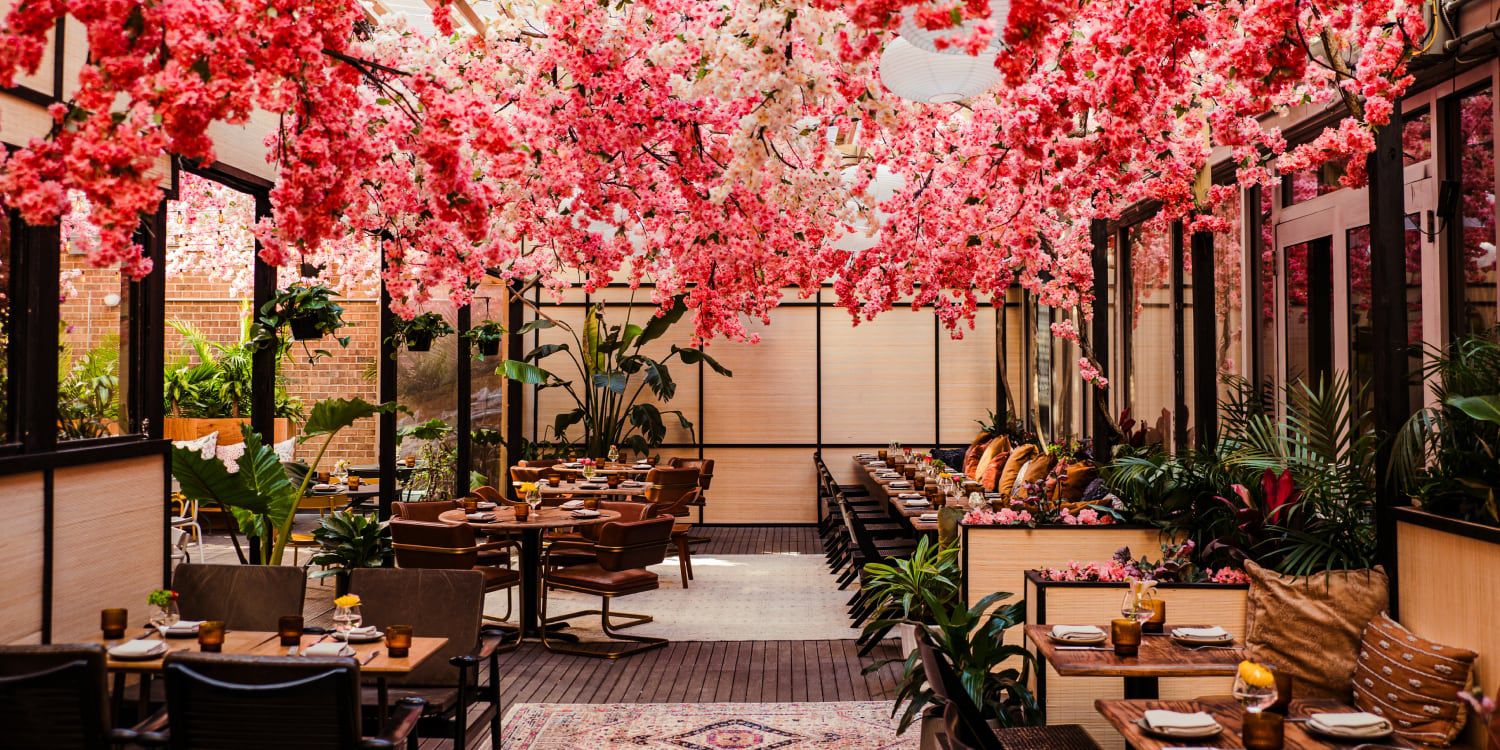 Dine under a canopy of pink flowers in DC.