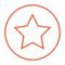 Icon orange star