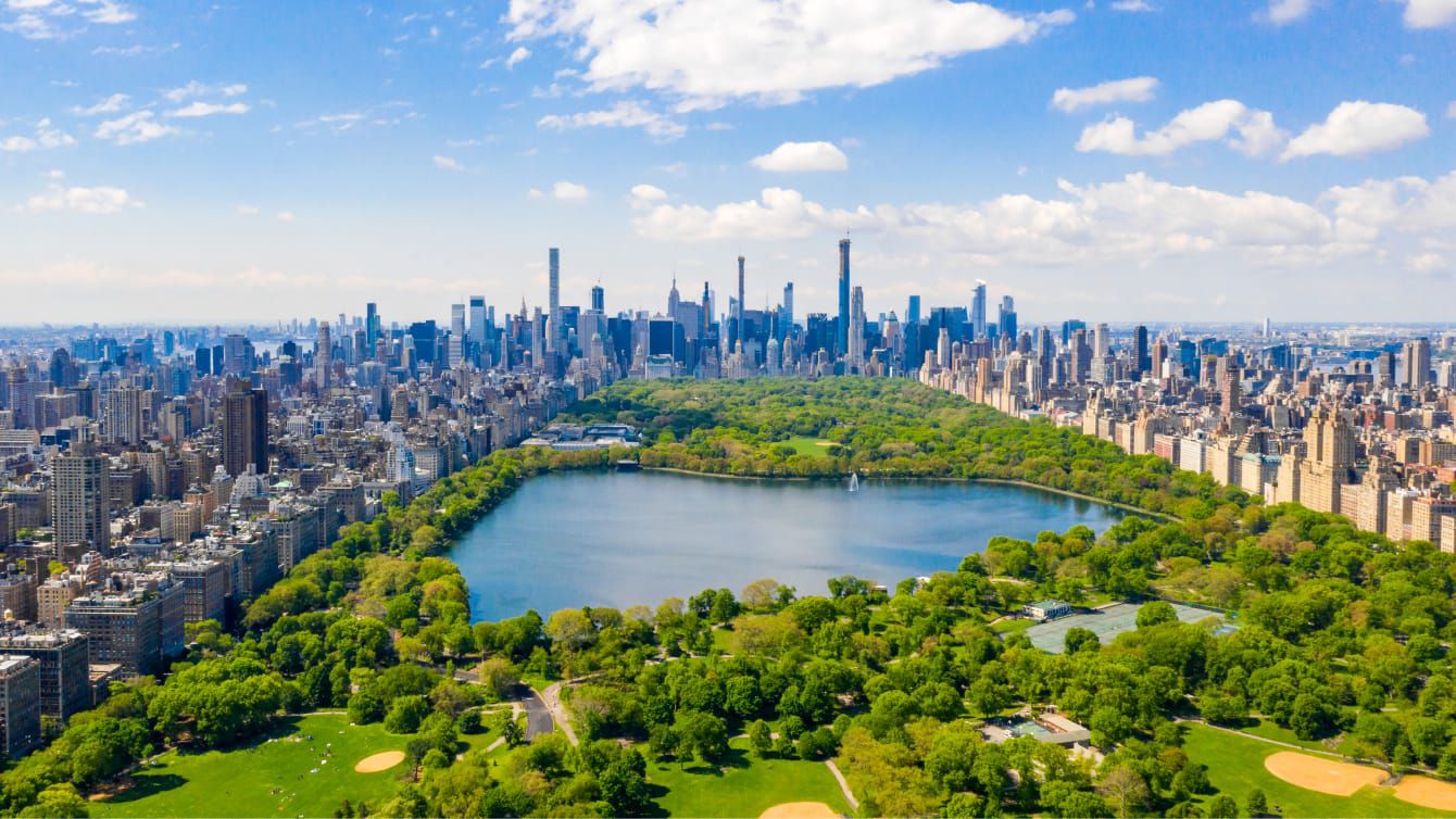Aerial view of Central Park surrounded by the Manhattan skyline on a clear day.