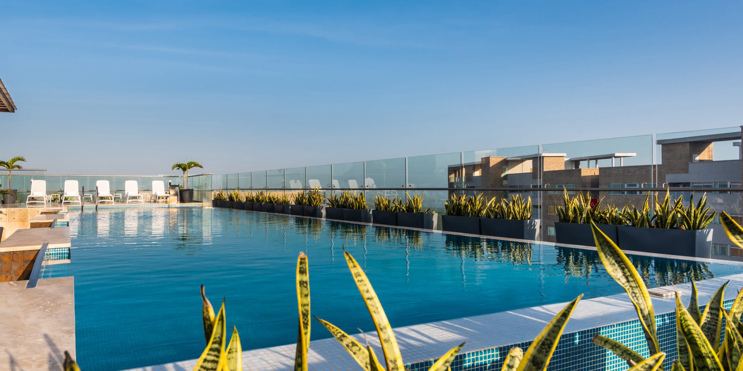 Rooftop infinity pool with clear blue water, glass railing, lounge chairs and tropical plants under a bright blue sky.