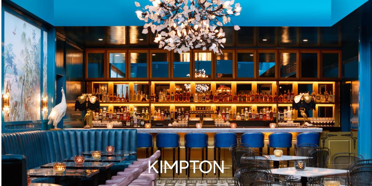 Kimpton Fontenot New Orleans stylish bar and lounge with illuminated shelves and contemporary decor