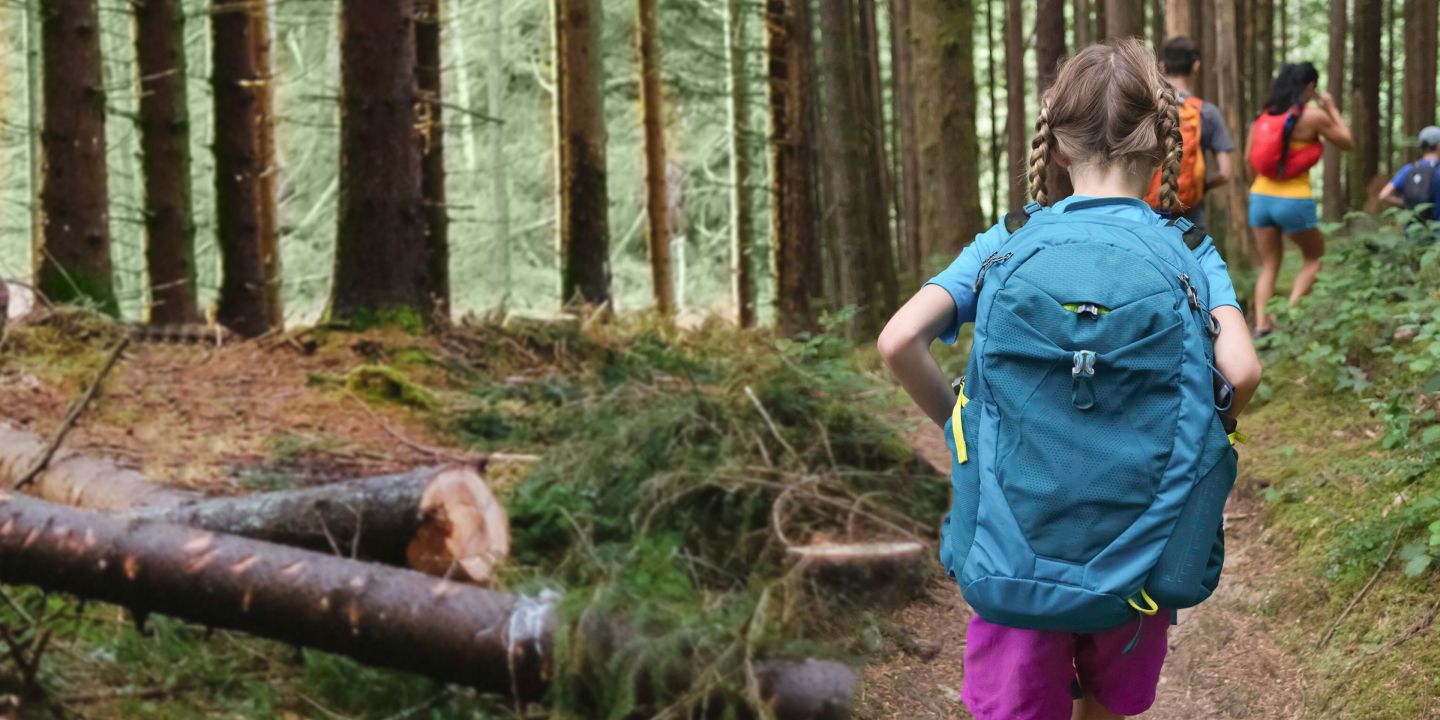 Image from behind a little girl hiking along a wooded path wearing a large blue backpack. She is following a group of hikers in front of her.