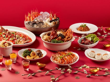 Holiday Inn Singapore Orchard City Centre Window on the Park