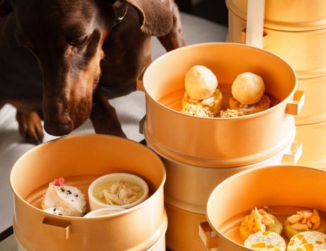 อินเตอร์คอนติเนนตัล หัวหิน รีสอร์ท 111 Social House