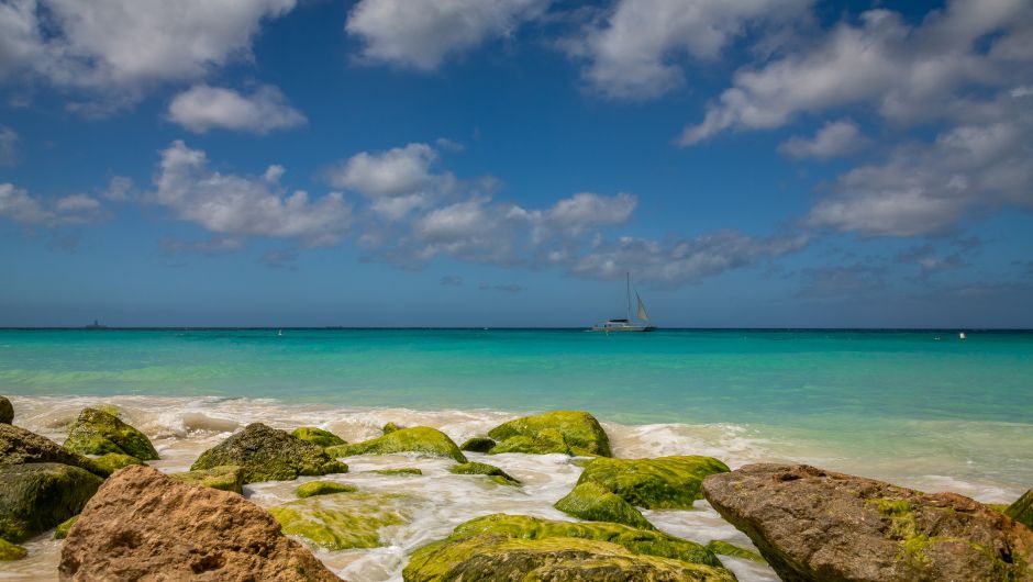 The coast of Aruba