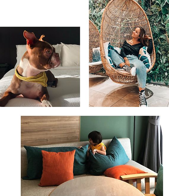 A collage of images showing families, solo travelers and even pets enjoying the suites that IHG has to offer