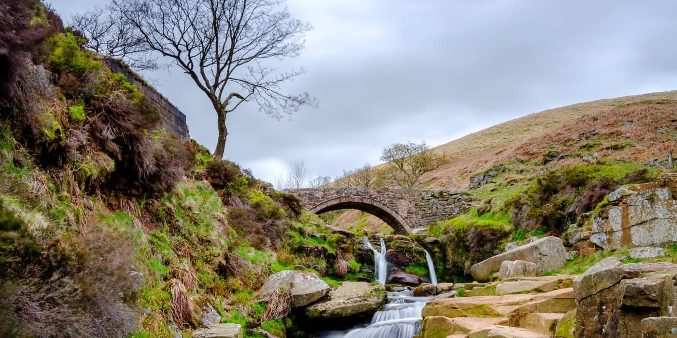 North West trees and river