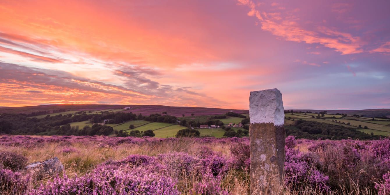 Yorkshire and Humber field