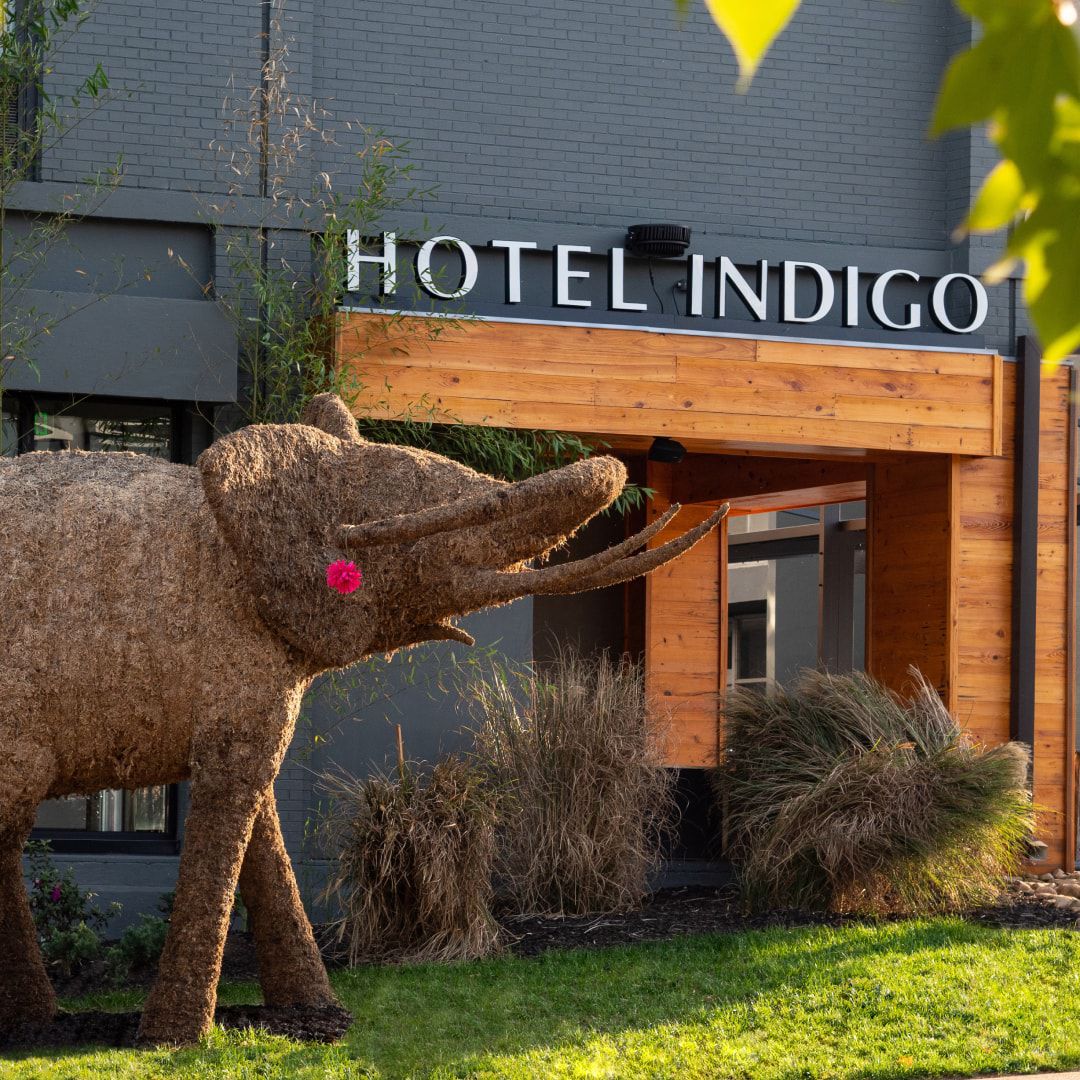 Hotel Indigo Chattanooga - Downtown Tennessee, USA