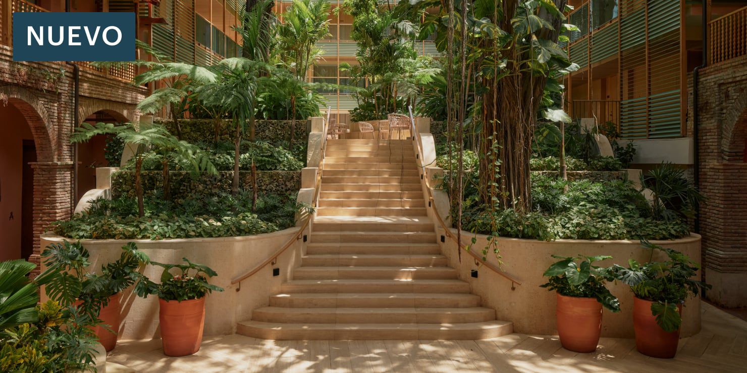 patio flanqueado por palmeras en santo domingo