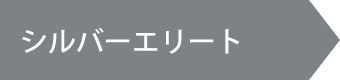 シルバーエリートレベル