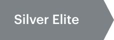 Silver Elite tier