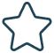 Star icon
