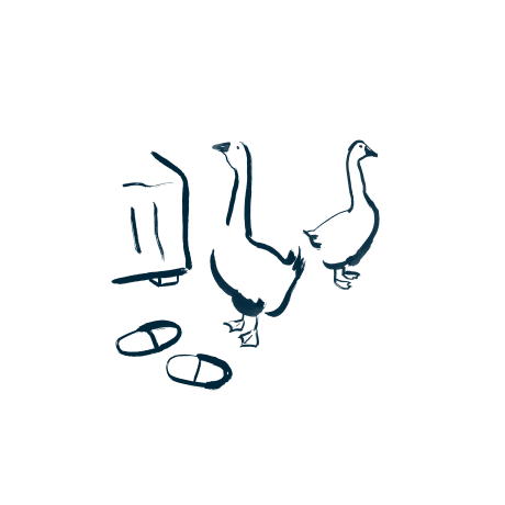A drawing of ducks and sandals
