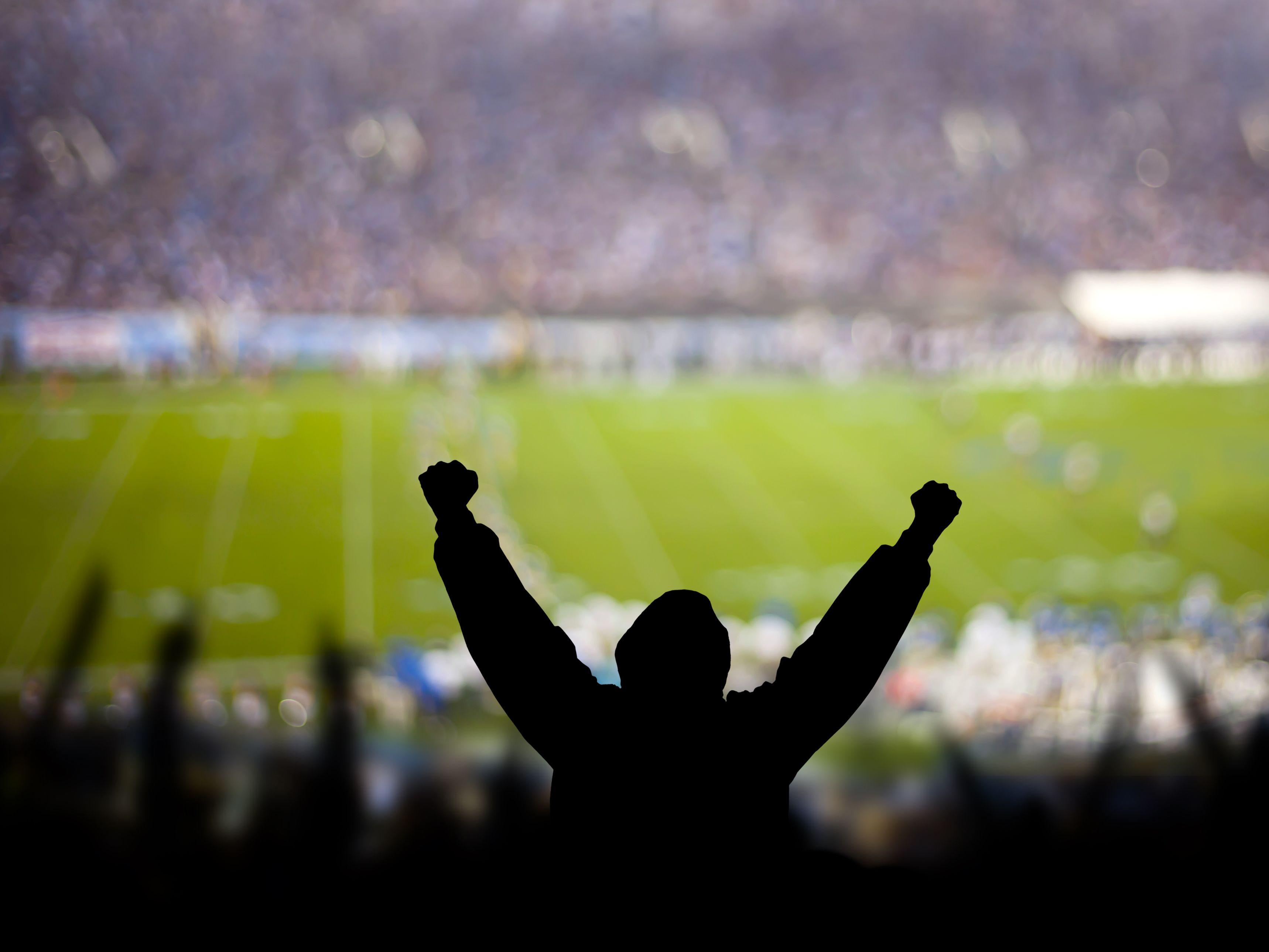Fan celebrating at a football game.