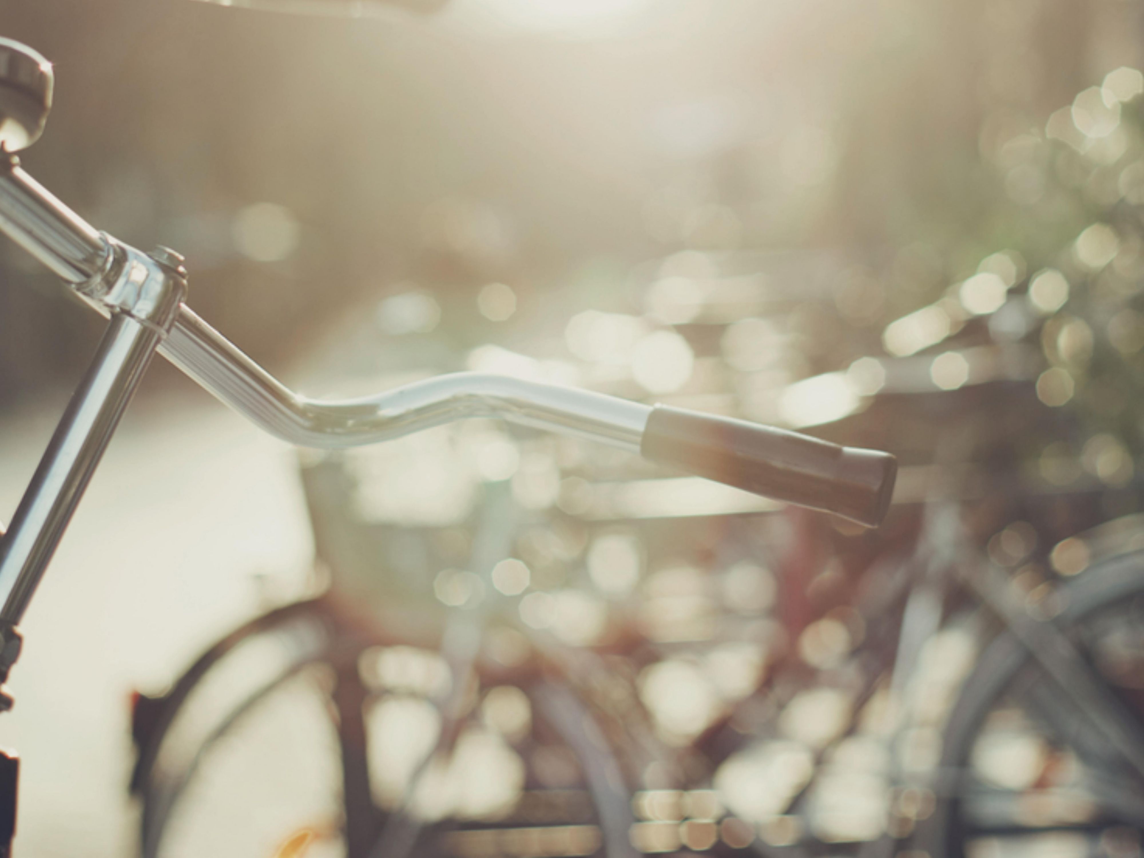 Two wheels, endless paths! Rent our high-quality, stylish bikes for 24 hours. A helmet is included for your safety. Perfect to discover Berlin differently, exploring hidden corners and famous spots comfortably, freely, and in style.