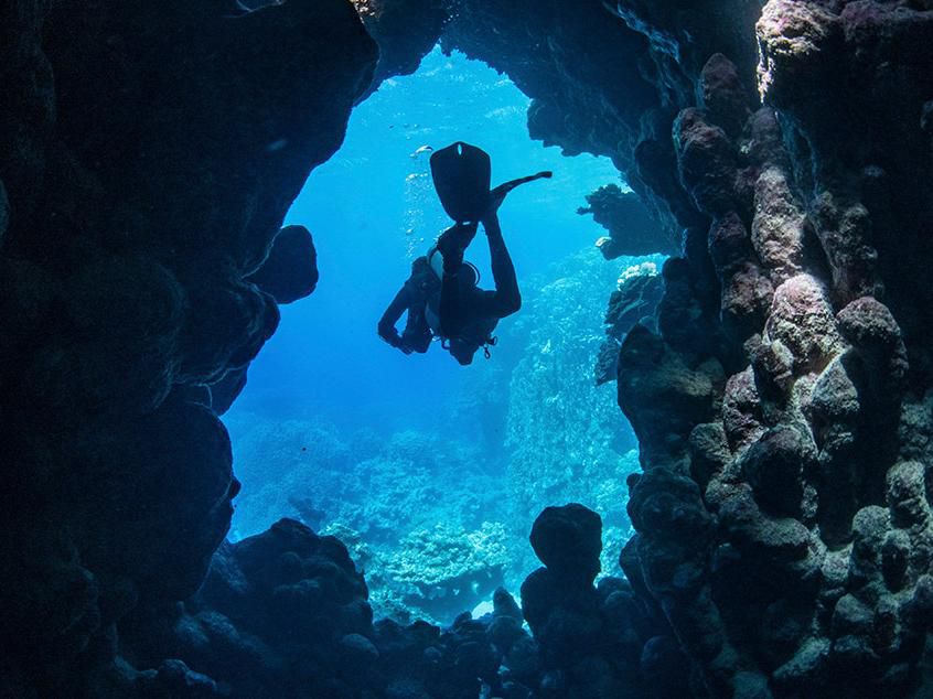 The Red Sea is full of underwater caves that were formed thousands of years ago, making it a popular destination for divers and other water sports enthusiasts. One of the easiest places to go cave diving is along the coast of Jeddah. 