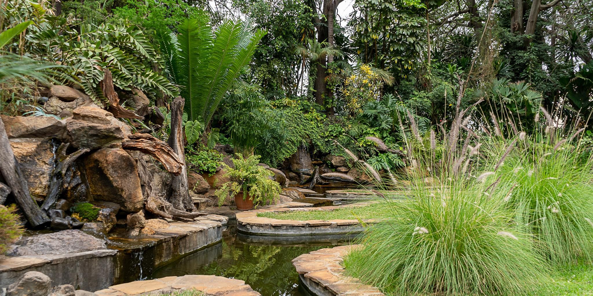 Discover a timeless sanctuary where Nairobi’s history meets modern ease. Built from the city’s signature Nairobi bluestone and embraced by lush botanical gardens, Fairview offers a tranquil retreat full of character, warmth and understated elegance.