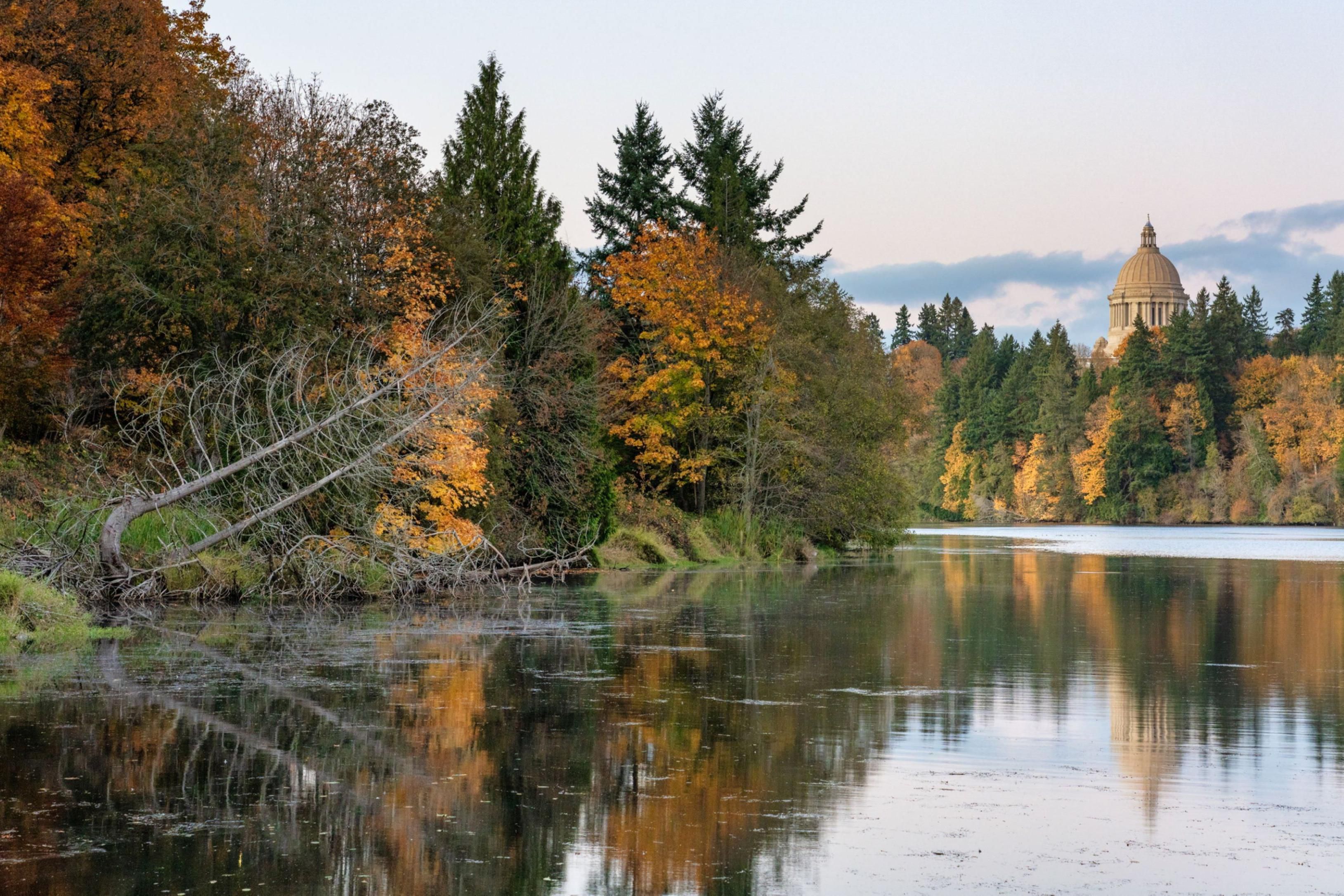 Get the most out of the outdoors and enjoy some me-time in our 12-acre lush wooded area. Explore the lakeside trails, or sip a coffee with a good book in the cozy lounge while admiring beautiful Capitol Lake. Relish tranquility surrounded by nature.