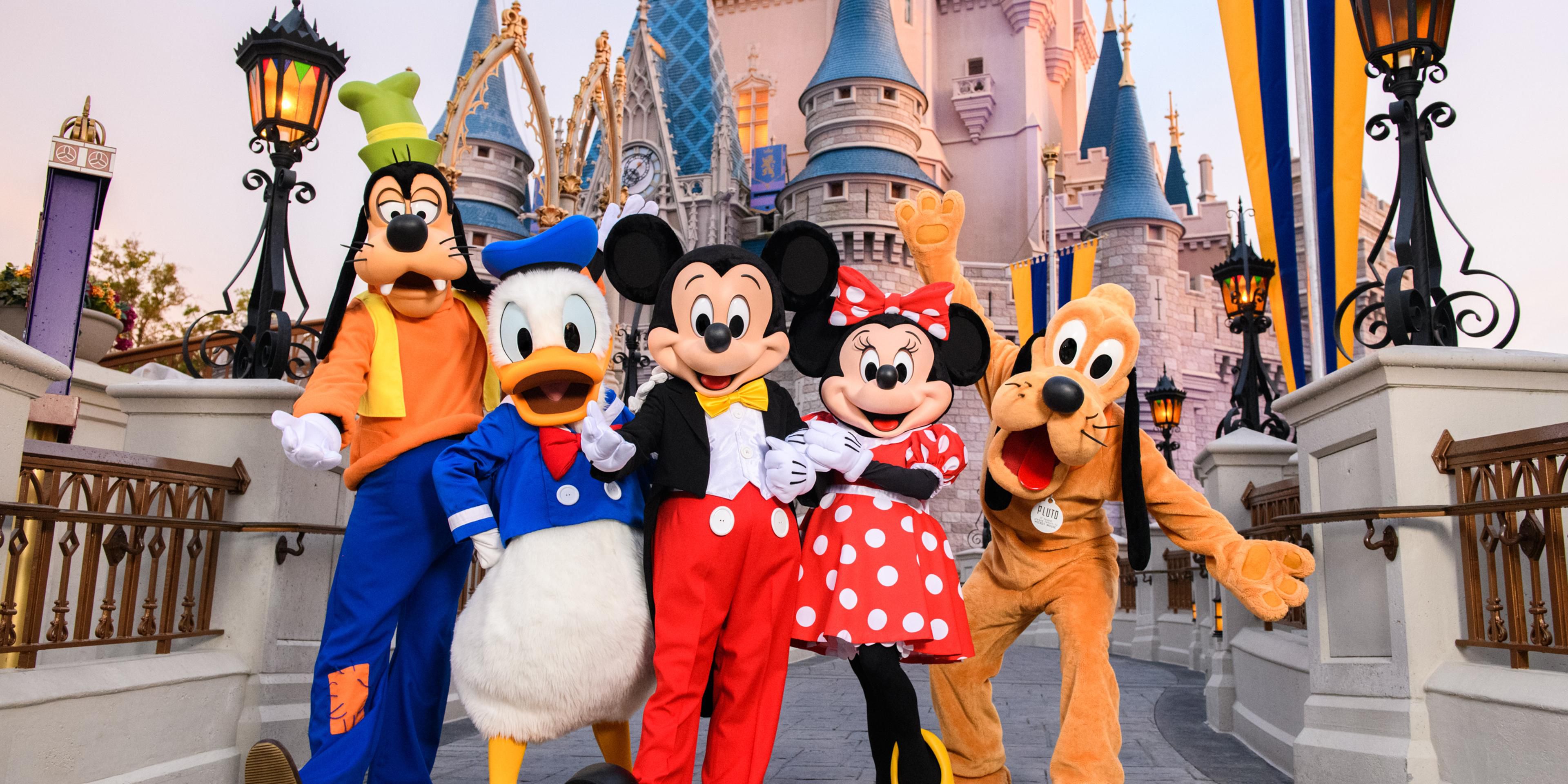 Attracties in de omgeving