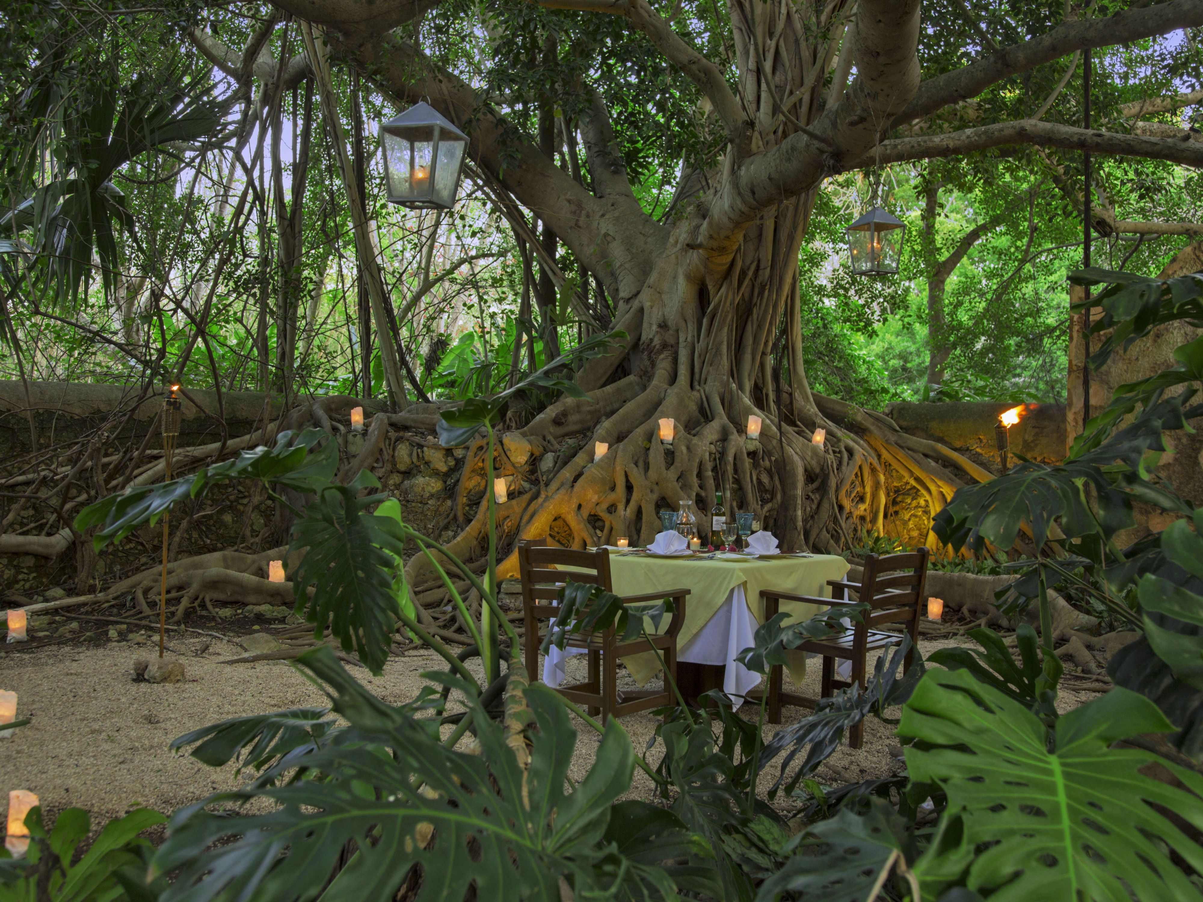 At the helm of our culinary voyage is the distinguished Jefte Medina. With a deep-rooted passion for both the local flavors of the Yucatan and international gastronomy, Chef Medina seamlessly blends traditional ingredients and techniques with contemporary culinary arts. Each plate is a harmonious medley of history, culture, and innovation.