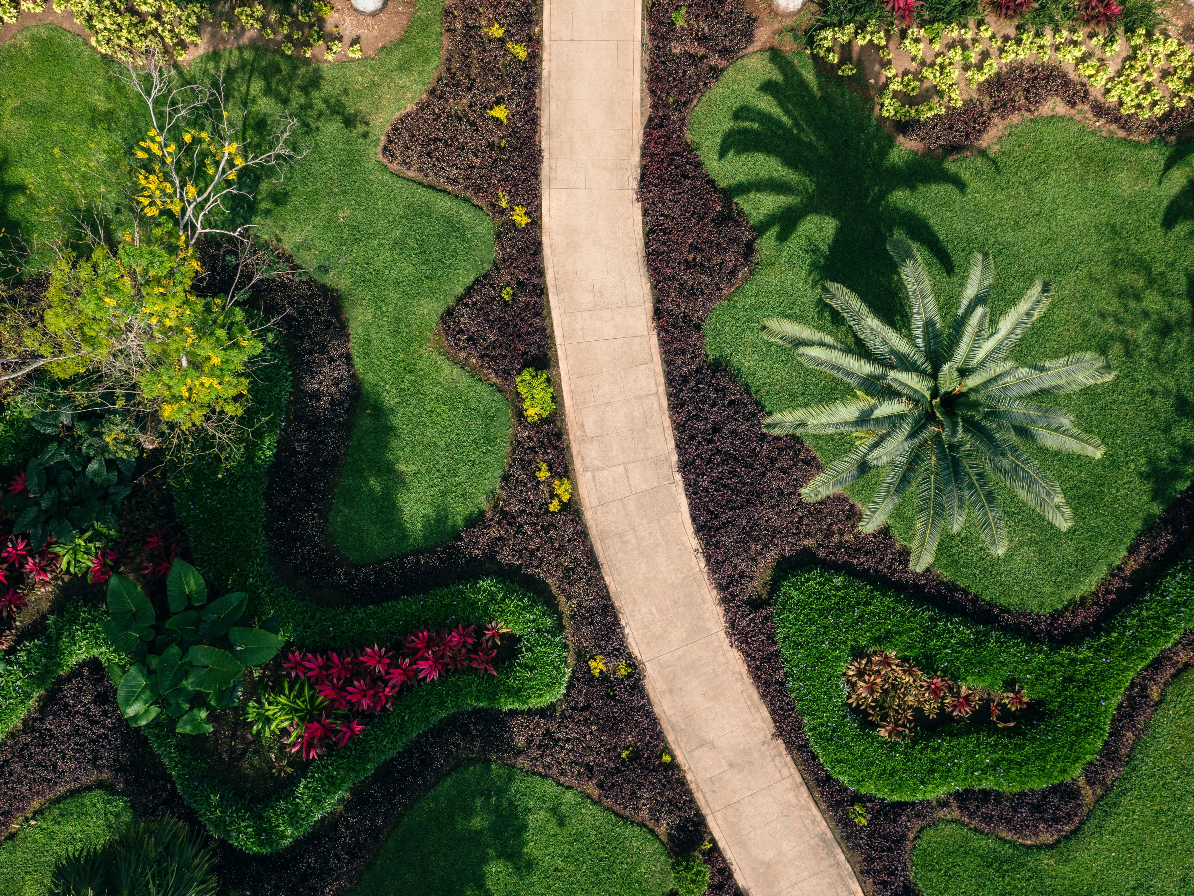 Garden Area