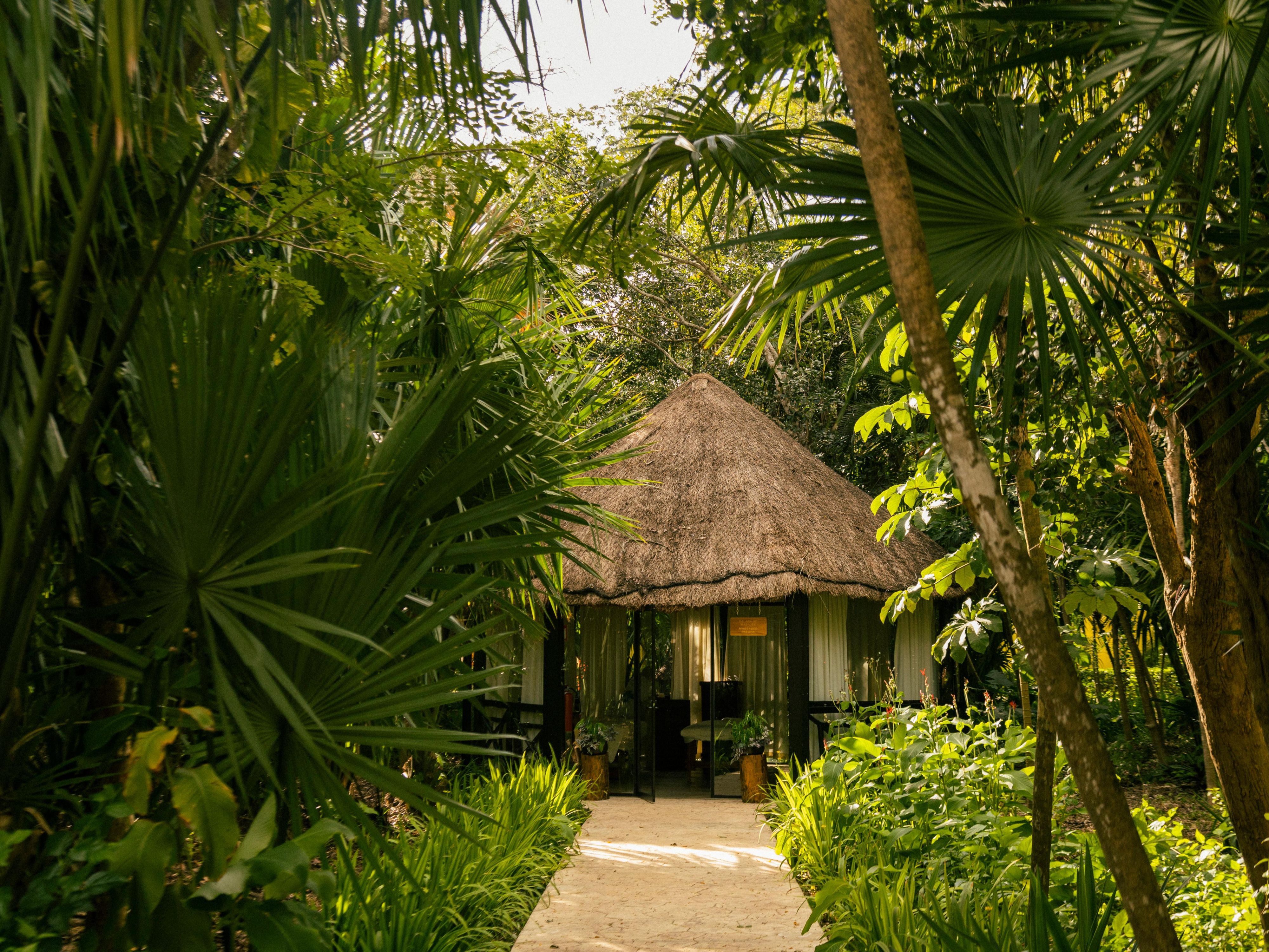 Iberostar Cozumel is a haven for holistic well-being. Spa Sensations, a sanctuary of serenity, treats guests to a range of rejuvenating treatments. Imagine a massages in the middle of the jungle. We offer a well-equipped gymnasium where fitness routines can be maintained, courts for tennis enthusiasts to hone their skills.