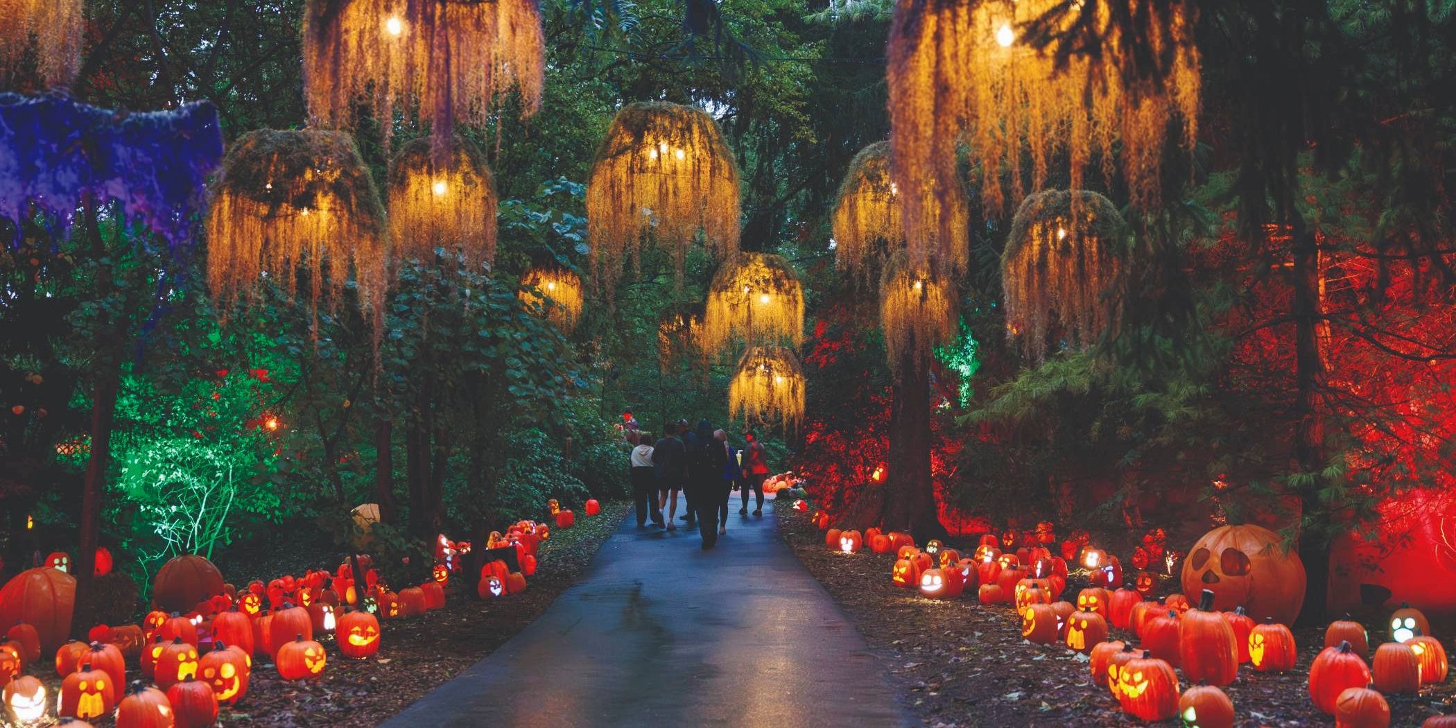 Guests walk along a wooded path lined with glowing jack-o’-lanterns and illuminated displays during Harvest Nights at Newfields.