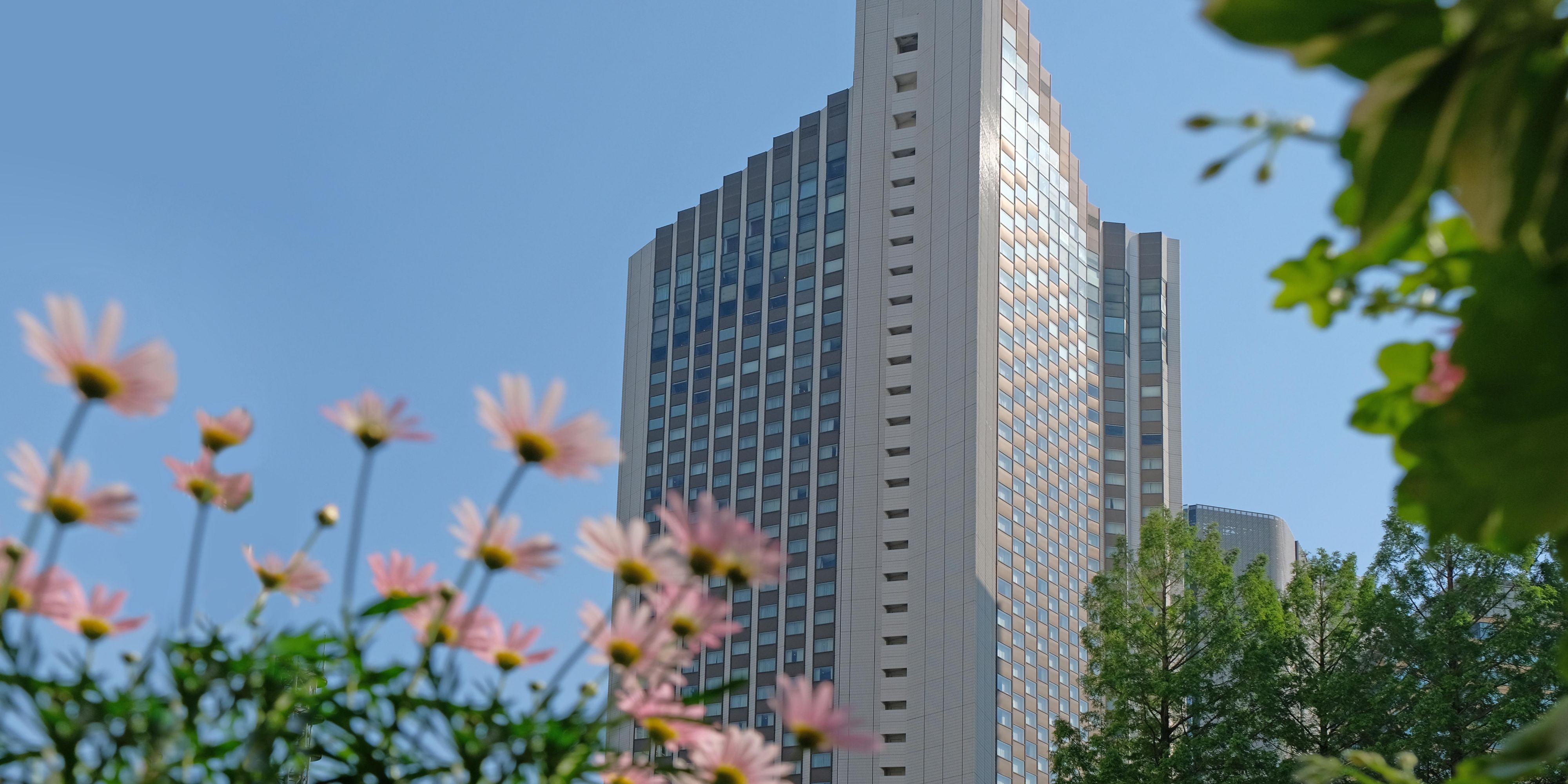 InterContinental-ANA Tokyo Reviews