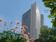 InterContinental - ANA 东京全日空洲际酒店