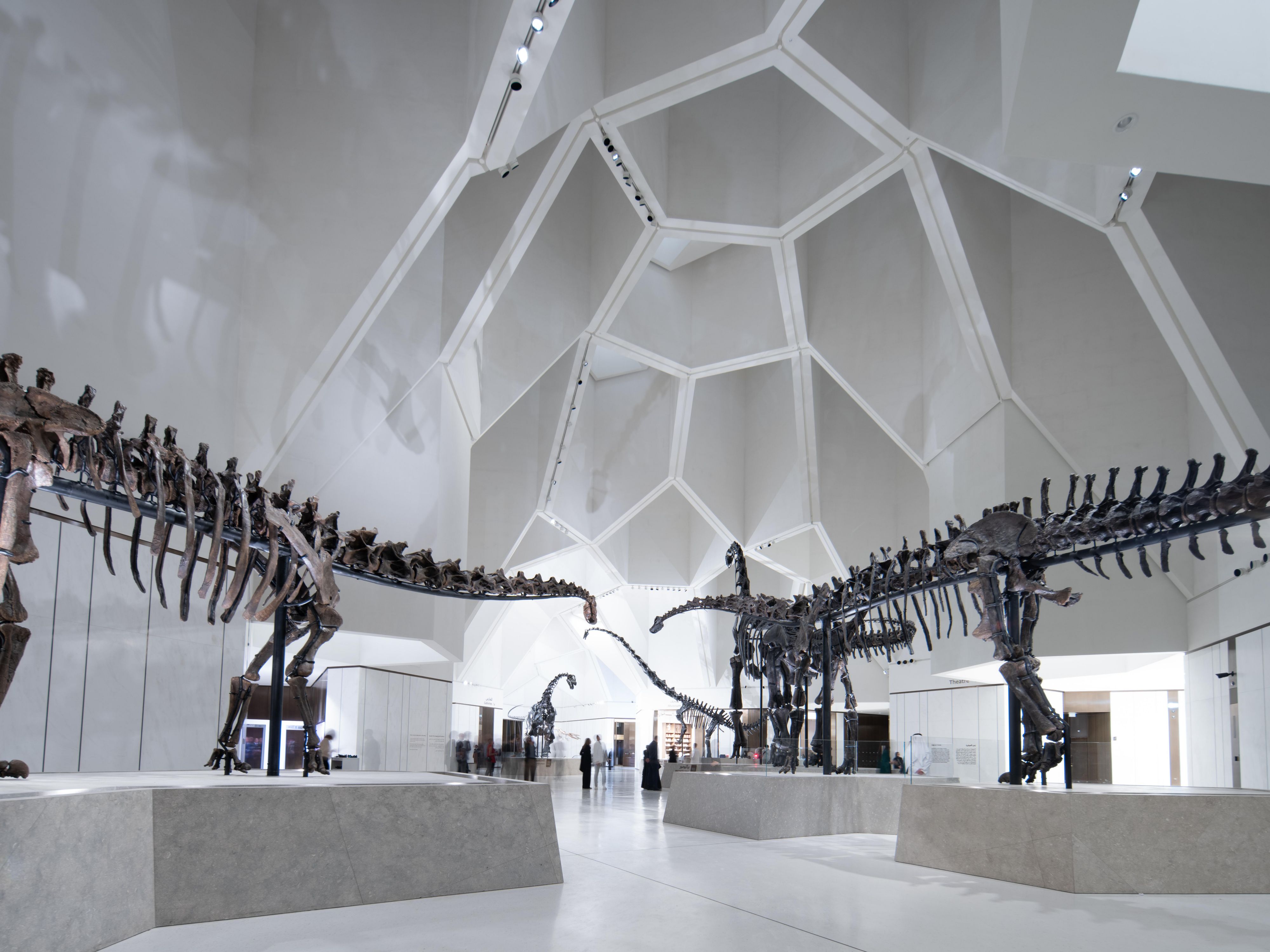 National History Museum Abu Dhabi