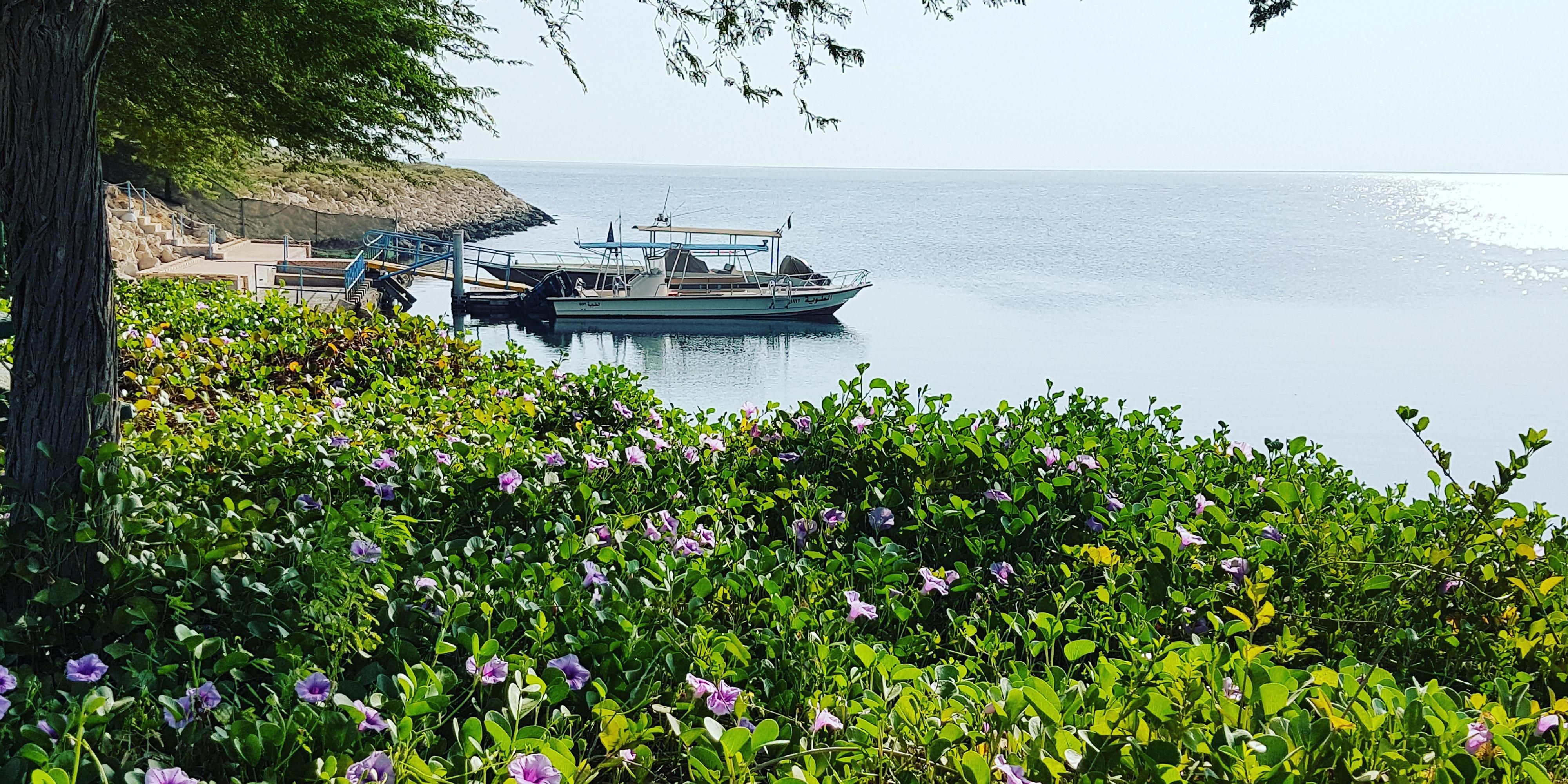 Start your day with a jog on the beach or the country club garden and then grab some delicious breakfast at Al Rehab café which has an array of hot and cold beverages.