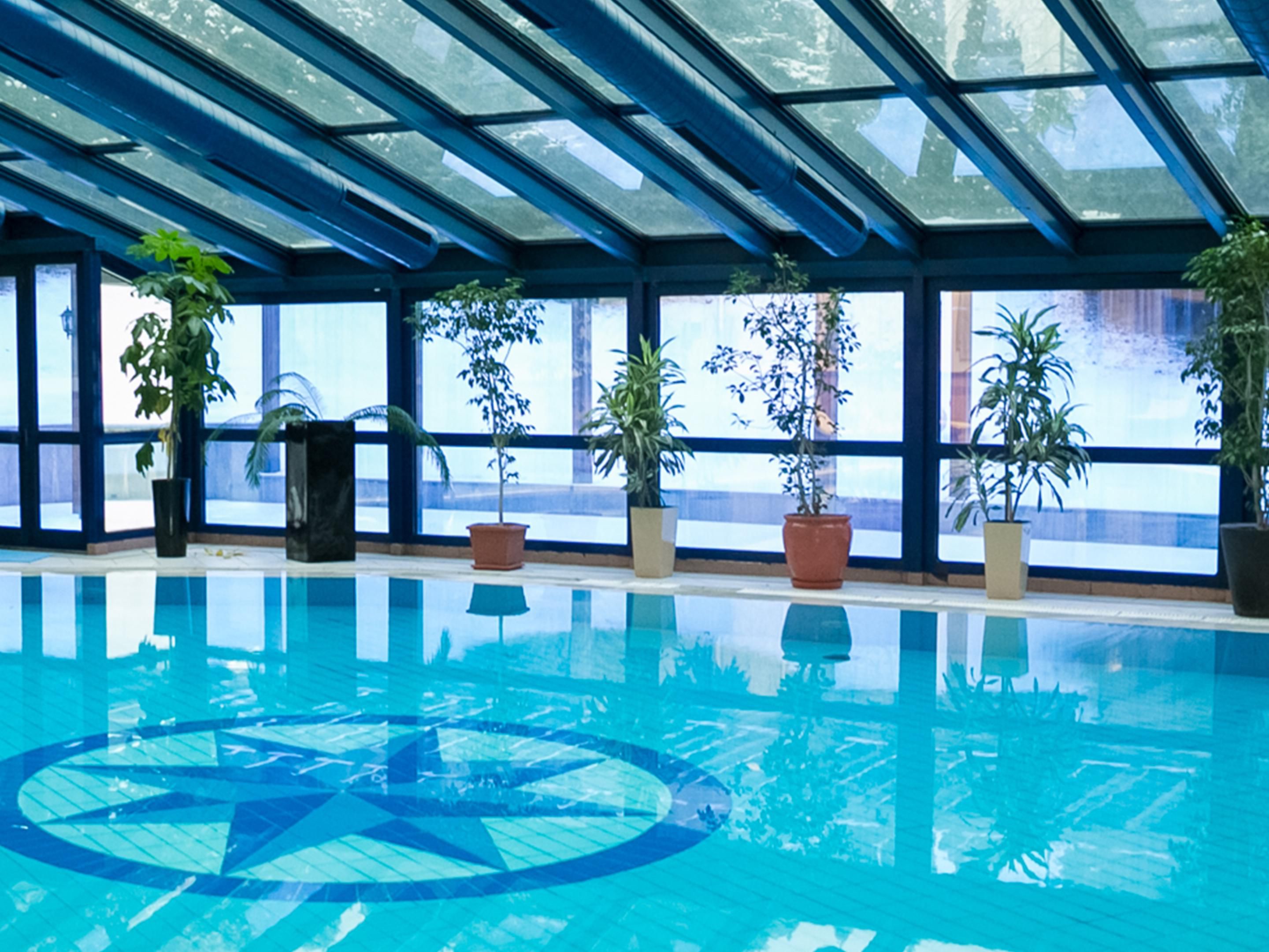 Swimming pool bathed in natural light 
