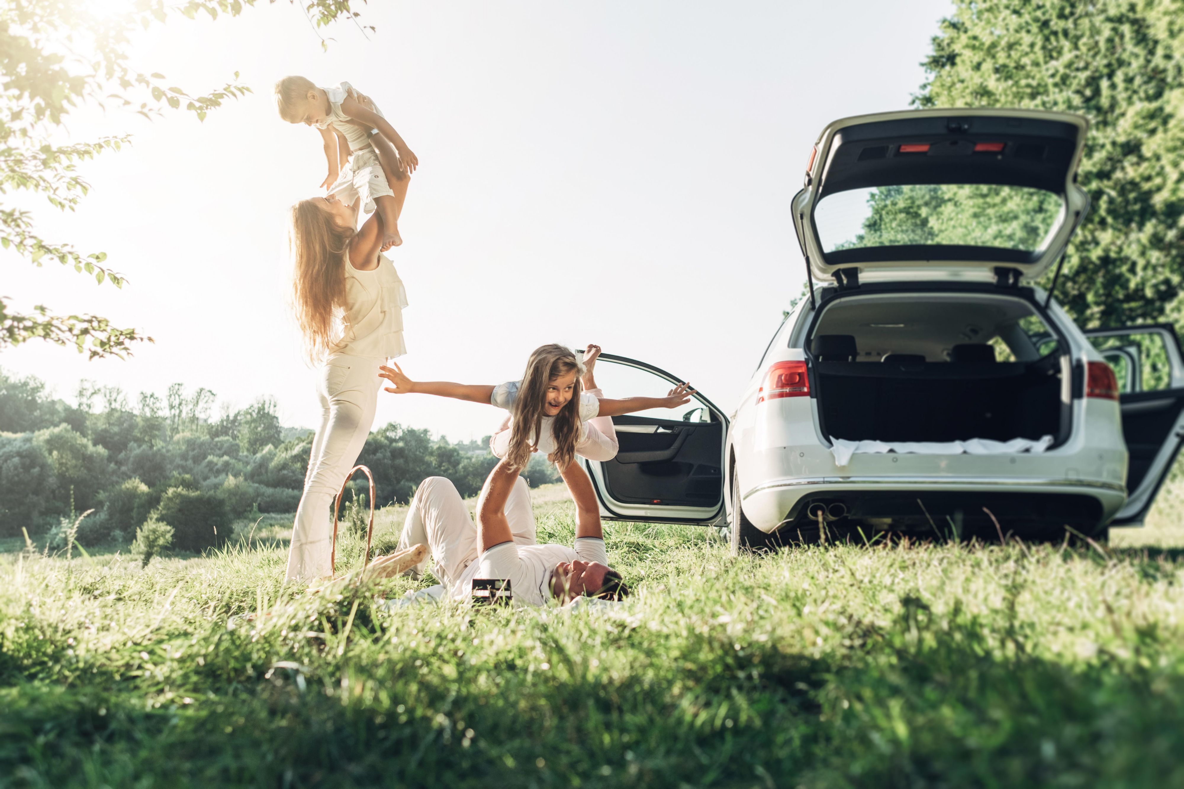 family on a road trip taking a break in a grassy area