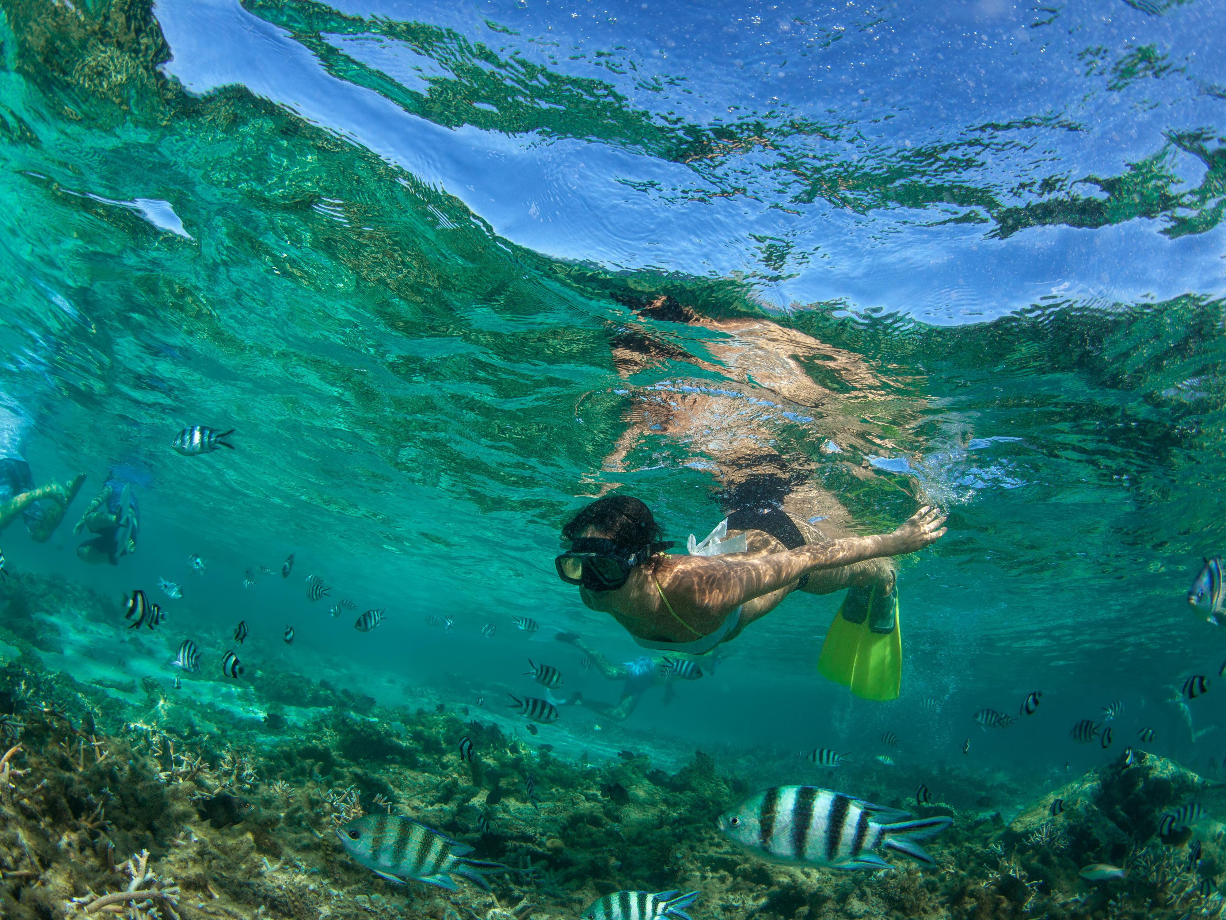Snorkeling