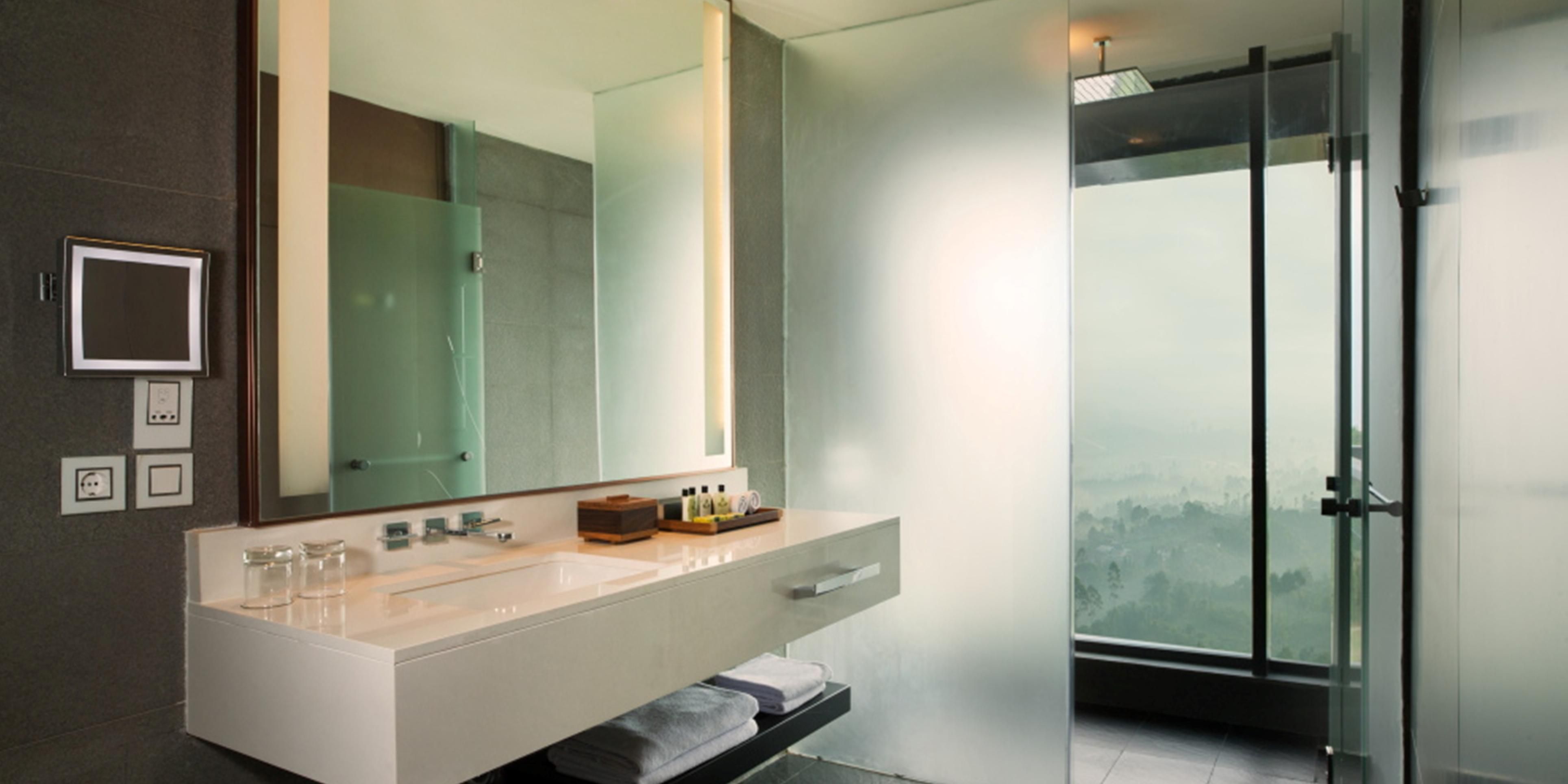 Bathroom View