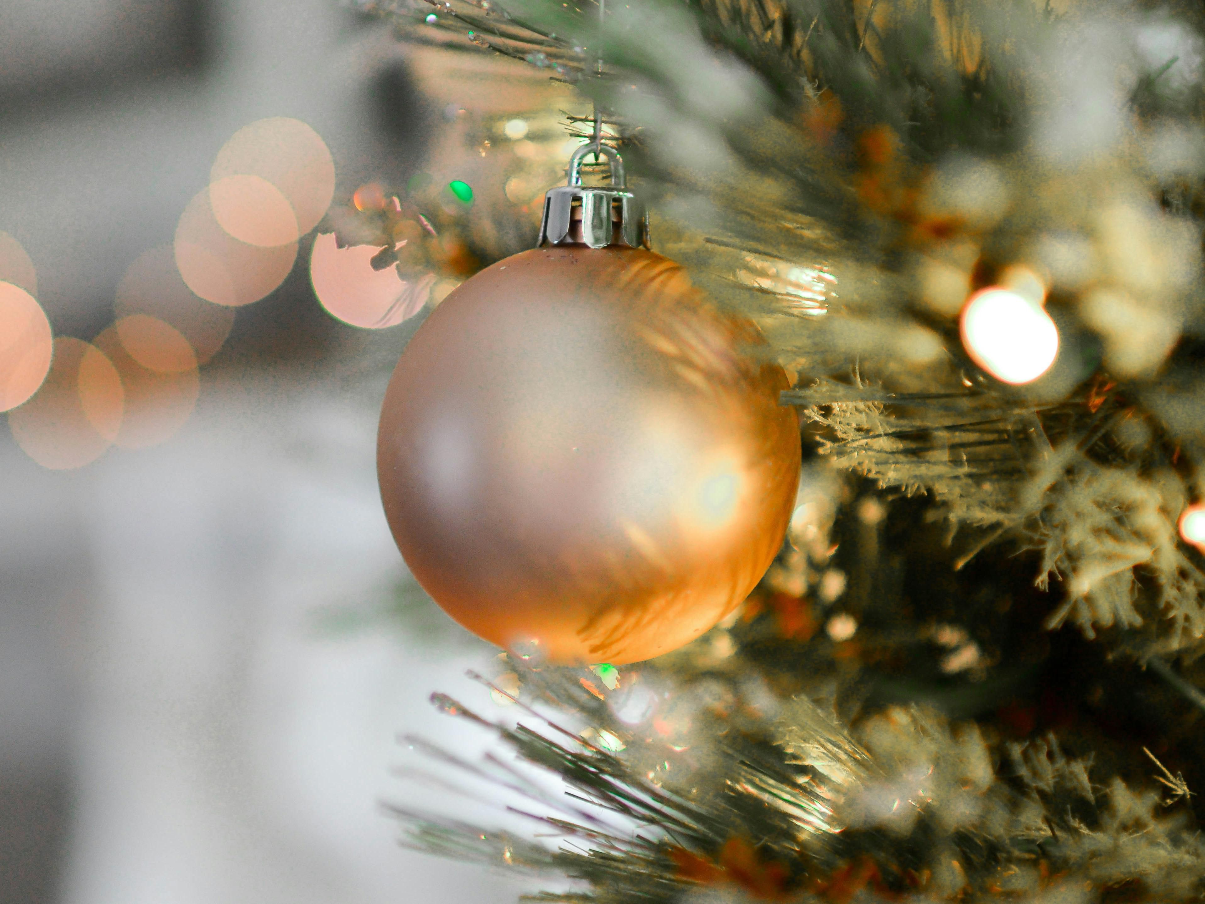 Christmas ornament on tree