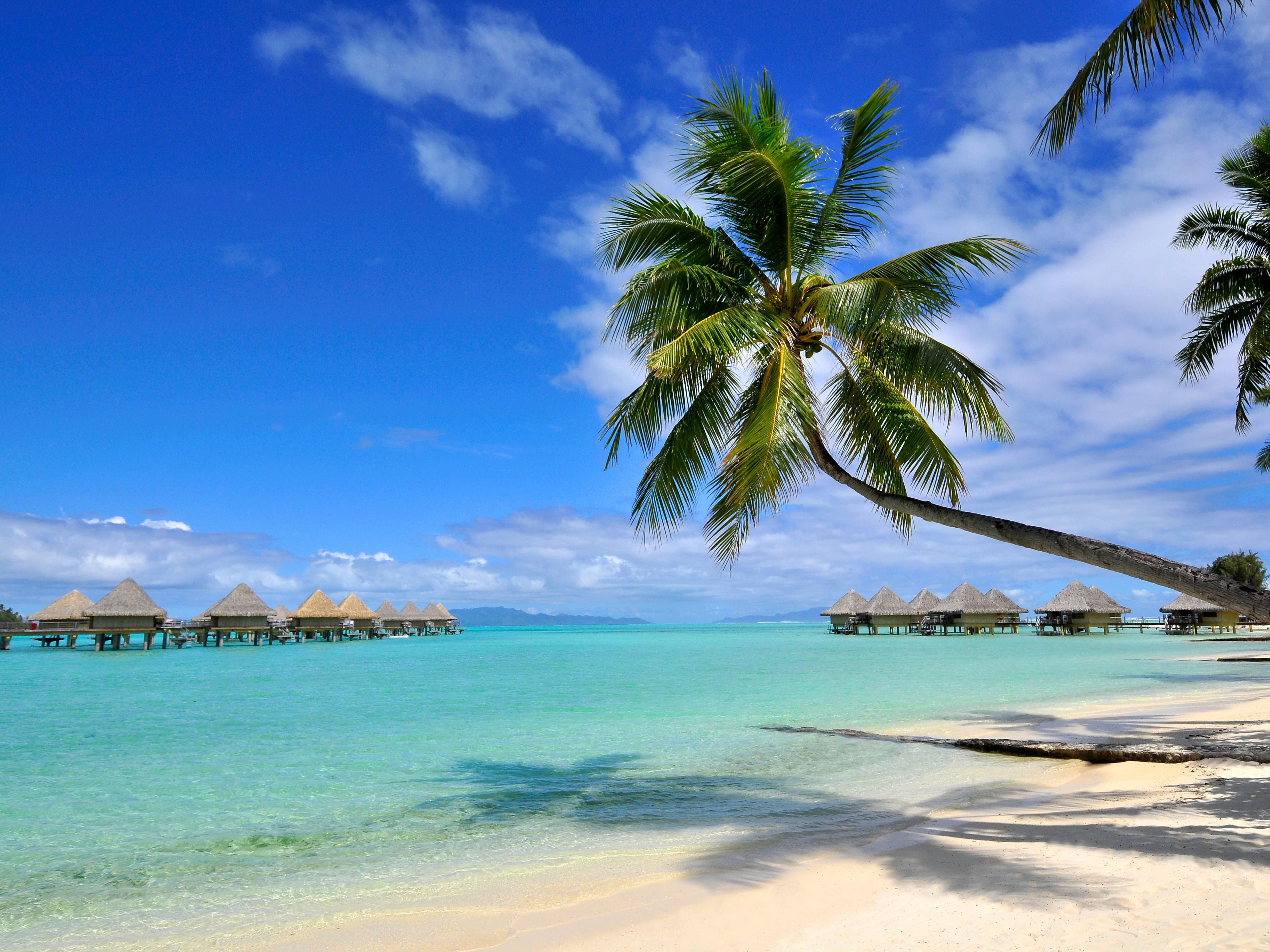 Bora Bora coastline